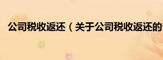 公司税收返还（关于公司税收返还的介绍）