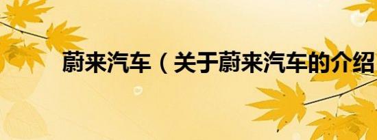 蔚来汽车（关于蔚来汽车的介绍）