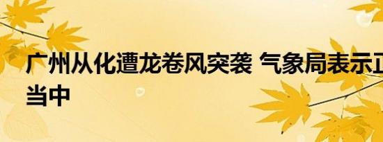 广州从化遭龙卷风突袭 气象局表示正在核查当中