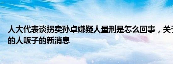 人大代表谈拐卖孙卓嫌疑人量刑是怎么回事，关于拐卖孙卓的人贩子的新消息