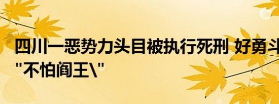 四川一恶势力头目被执行死刑 好勇斗狠号称