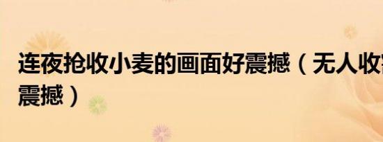 连夜抢收小麦的画面好震撼（无人收割机场面震撼）