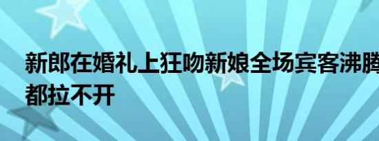 新郎在婚礼上狂吻新娘全场宾客沸腾 司仪拉都拉不开