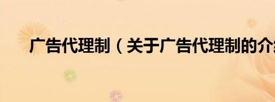广告代理制（关于广告代理制的介绍）