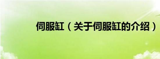 伺服缸（关于伺服缸的介绍）
