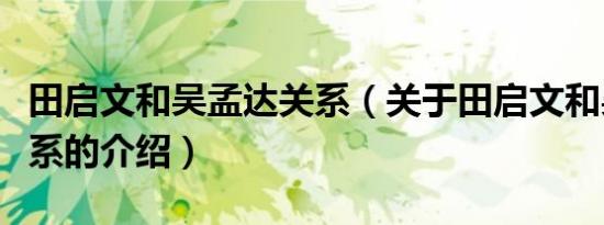 田启文和吴孟达关系（关于田启文和吴孟达关系的介绍）