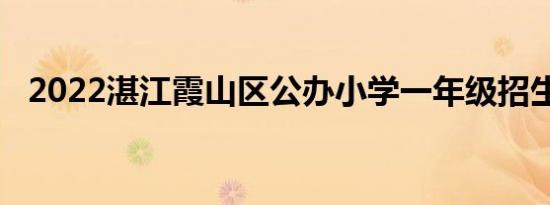 2022湛江霞山区公办小学一年级招生对象