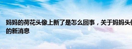妈妈的荷花头像上新了是怎么回事，关于妈妈头像荷花头像的新消息