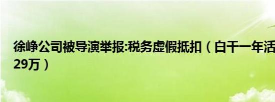 徐峥公司被导演举报:税务虚假抵扣（白干一年活还要倒贴129万）