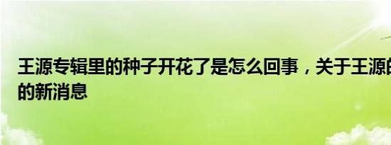 王源专辑里的种子开花了是怎么回事，关于王源的最新专辑的新消息