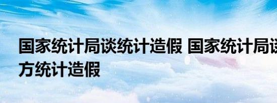 国家统计局谈统计造假 国家统计局谈个别地方统计造假