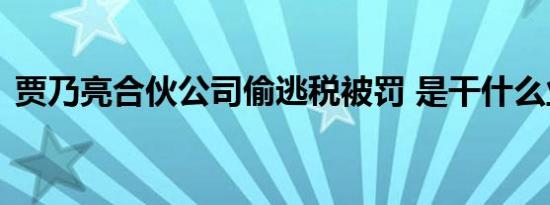 贾乃亮合伙公司偷逃税被罚 是干什么业务的