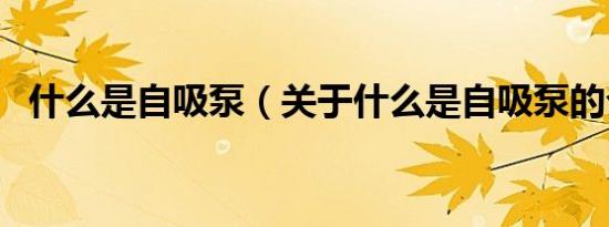 什么是自吸泵（关于什么是自吸泵的介绍）