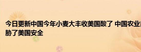 今日更新中国今年小麦大丰收美国酸了 中国农业自给自足威胁了美国安全