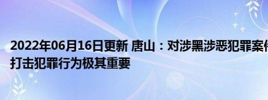 唐山：对涉黑涉恶犯罪案件一案三查 打击犯罪行为极其重要