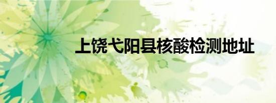 上饶弋阳县核酸检测地址