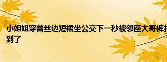 小姐姐穿蕾丝边短裙坐公交下一秒被邻座大哥裤扣勾住 缘分到了