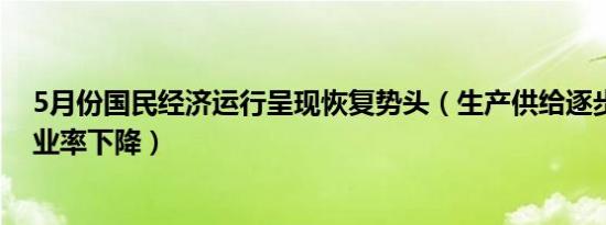5月份国民经济运行呈现恢复势头（生产供给逐步回升，失业率下降）