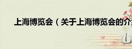 上海博览会（关于上海博览会的介绍）