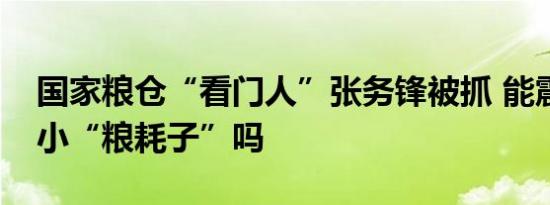 国家粮仓“看门人”张务锋被抓 能震慑住大小“粮耗子”吗