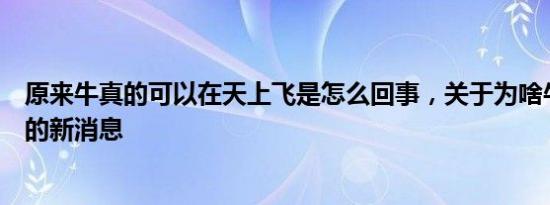 原来牛真的可以在天上飞是怎么回事，关于为啥牛在天上飞的新消息