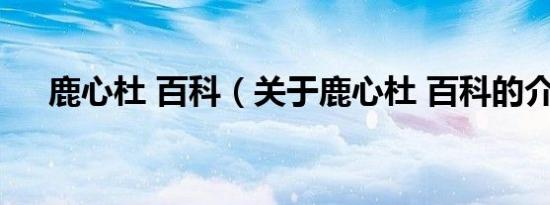 鹿心杜 百科（关于鹿心杜 百科的介绍）