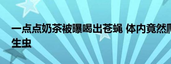一点点奶茶被曝喝出苍蝇 体内竟然爬出了寄生虫