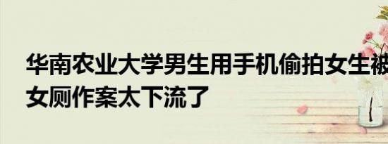 华南农业大学男生用手机偷拍女生被处分 在女厕作案太下流了