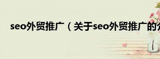 seo外贸推广（关于seo外贸推广的介绍）