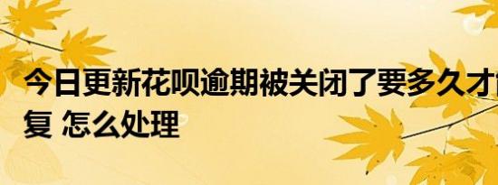 今日更新花呗逾期被关闭了要多久才能开通恢复 怎么处理