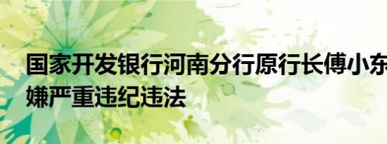 国家开发银行河南分行原行长傅小东被查 涉嫌严重违纪违法