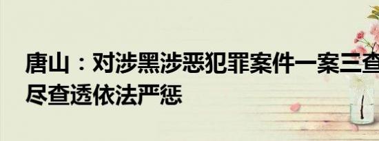 唐山：对涉黑涉恶犯罪案件一案三查 做到挖尽查透依法严惩