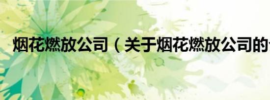 烟花燃放公司（关于烟花燃放公司的介绍）