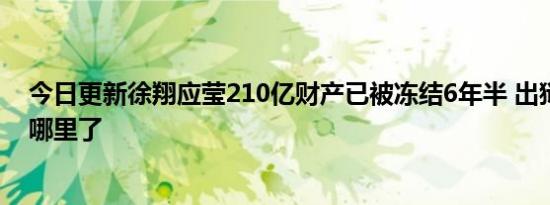 今日更新徐翔应莹210亿财产已被冻结6年半 出狱后徐翔去哪里了