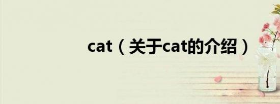 cat（关于cat的介绍）