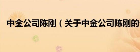 中金公司陈刚（关于中金公司陈刚的介绍）