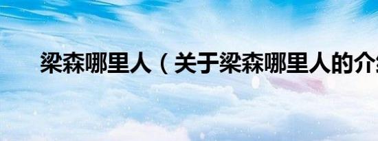 梁森哪里人（关于梁森哪里人的介绍）