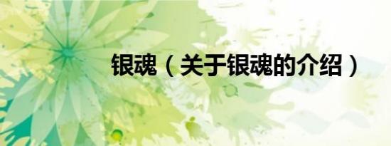 银魂（关于银魂的介绍）
