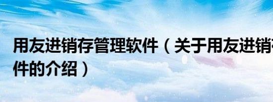 用友进销存管理软件（关于用友进销存管理软件的介绍）