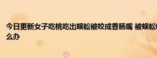 今日更新女子吃桃吃出蜈蚣被咬成香肠嘴 被蜈蚣咬了应该怎么办