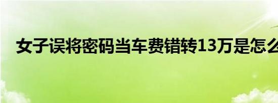 女子误将密码当车费错转13万是怎么回事