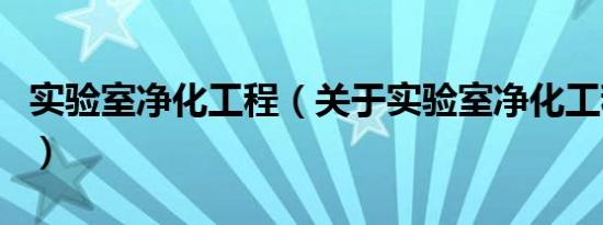实验室净化工程（关于实验室净化工程的介绍）