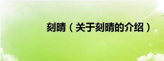 刻晴（关于刻晴的介绍）