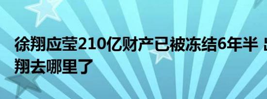 徐翔应莹210亿财产已被冻结6年半 出狱后徐翔去哪里了