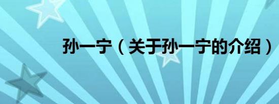 孙一宁（关于孙一宁的介绍）