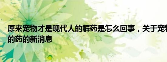 原来宠物才是现代人的解药是怎么回事，关于宠物能吃人类的药的新消息