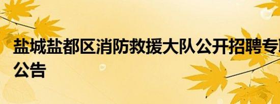 盐城盐都区消防救援大队公开招聘专职消防员公告