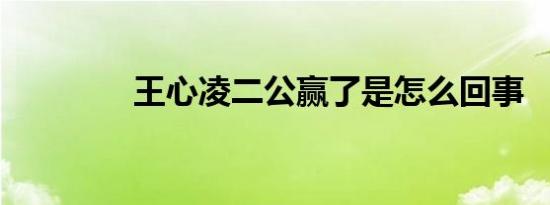 王心凌二公赢了是怎么回事