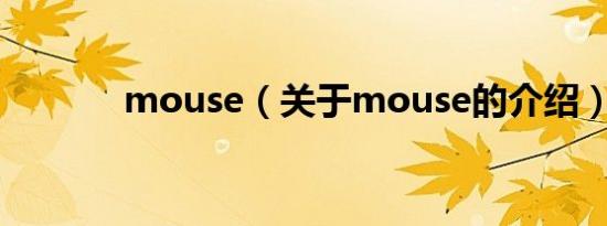 mouse（关于mouse的介绍）