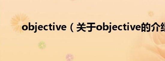 objective（关于objective的介绍）